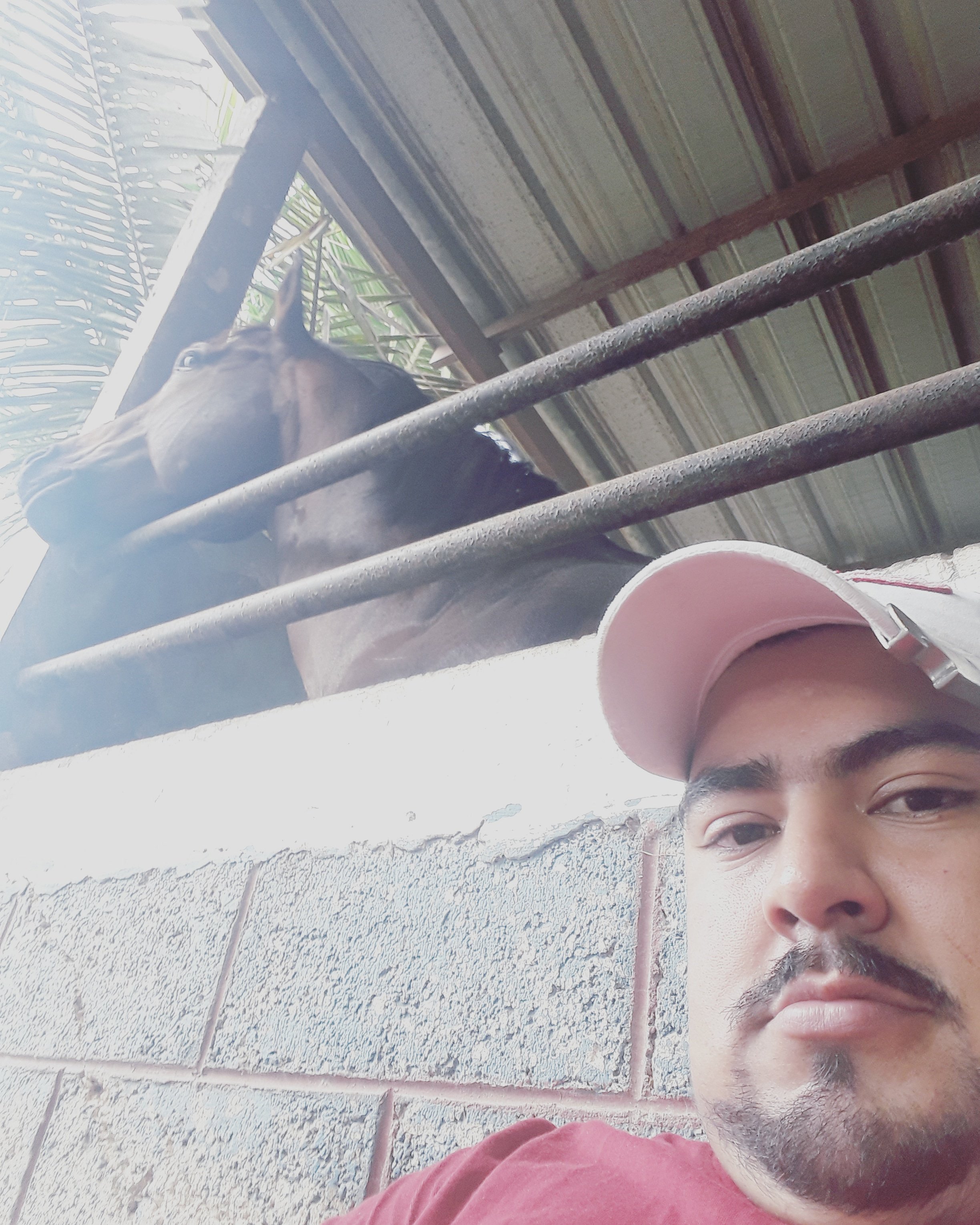 J. Ramon Castellanos banner