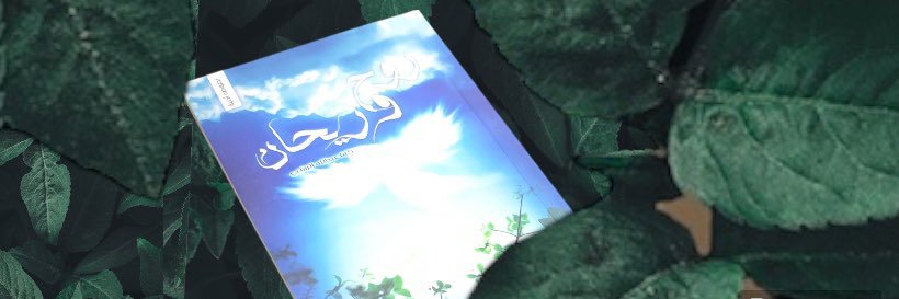 kafa_syria's profile banner image