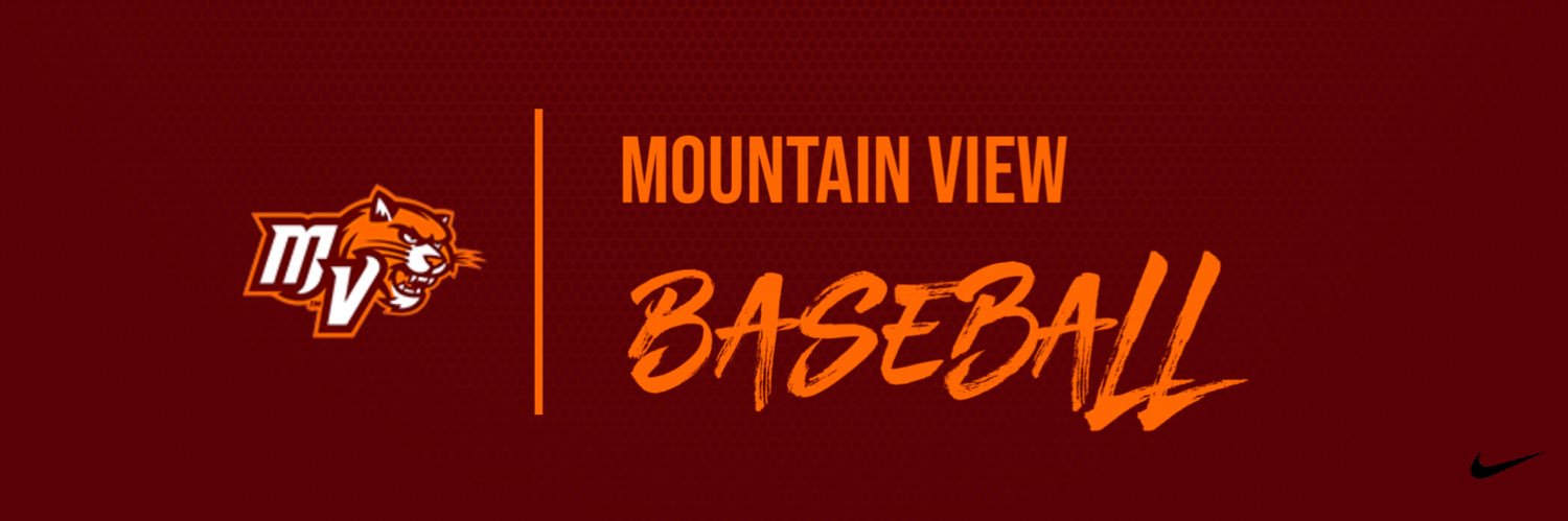 MV Baseball banner