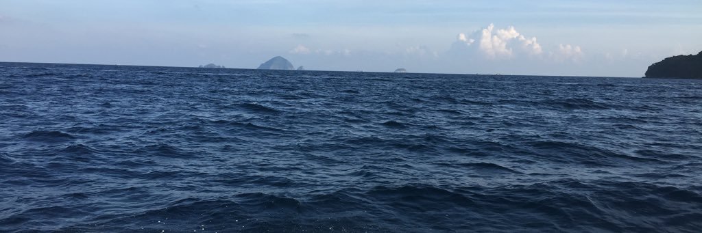 XinYiAngg's profile banner image