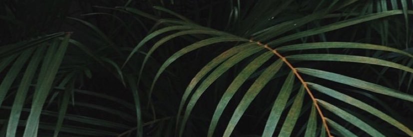 sarahyoungo's profile banner image