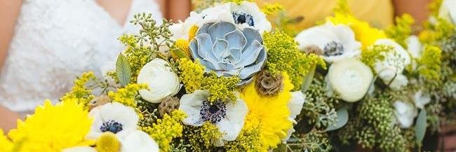 iwedplanner's profile banner image