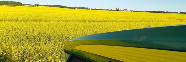 DavidSchill2 Profile Banner