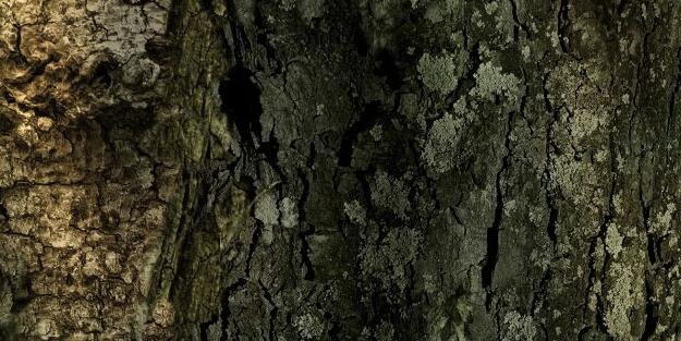 iiOutsider's profile banner image