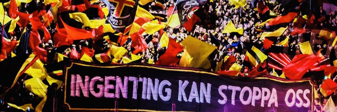 Mange Astenius banner