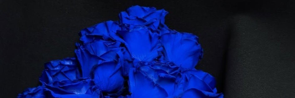 R5MelanieC's profile banner image