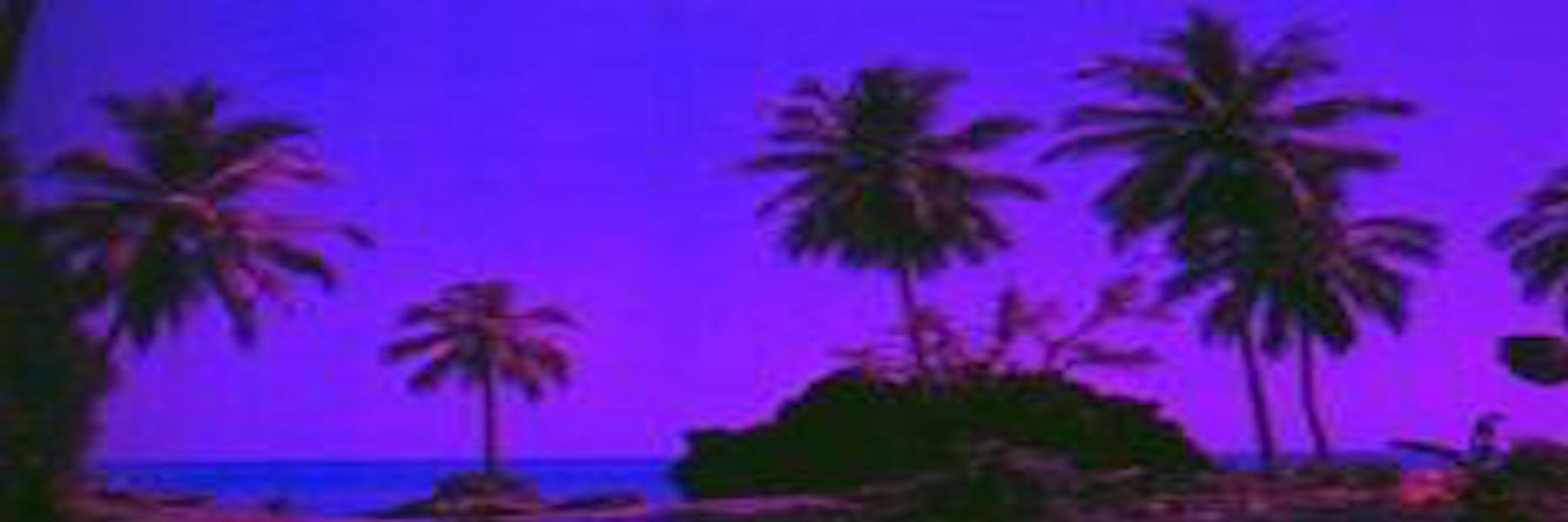 truezakariya's profile banner image