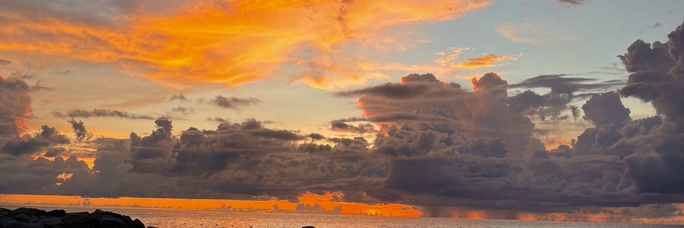 martha_palacios's profile banner image