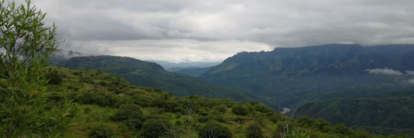 zariacim Profile Banner