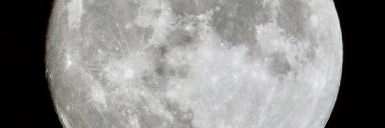 mugofreality's profile banner image