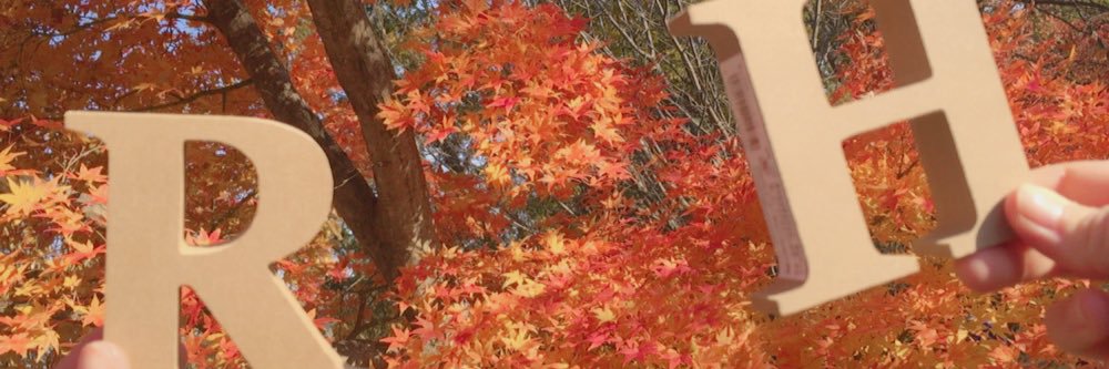 ql5x5_'s profile banner image