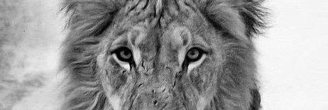 DifferentBreed8's profile banner image