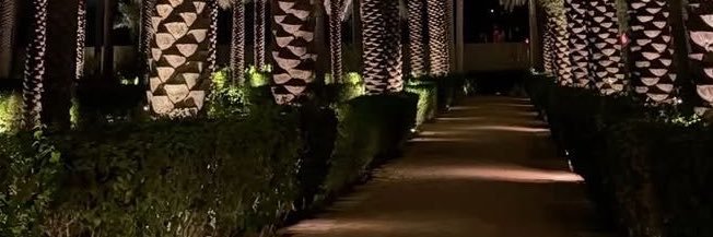 t_hz28's profile banner image