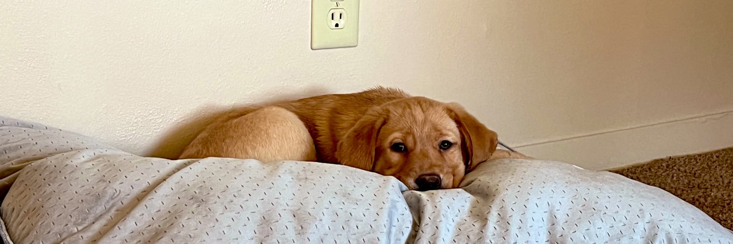 haley_berry13's profile banner image