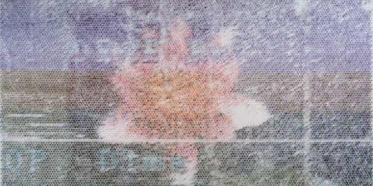 AIDDCollective's profile banner image