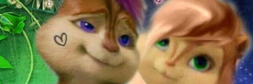 chipettes05's profile banner image
