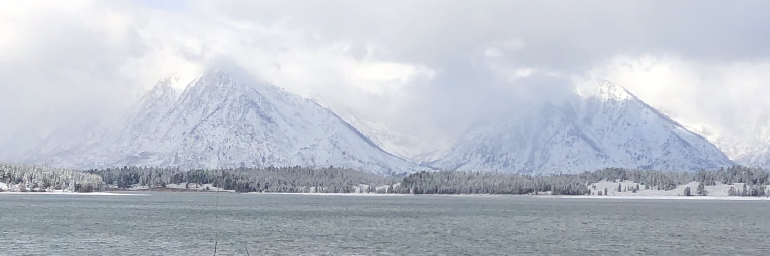 Matthew_Gally's profile banner image