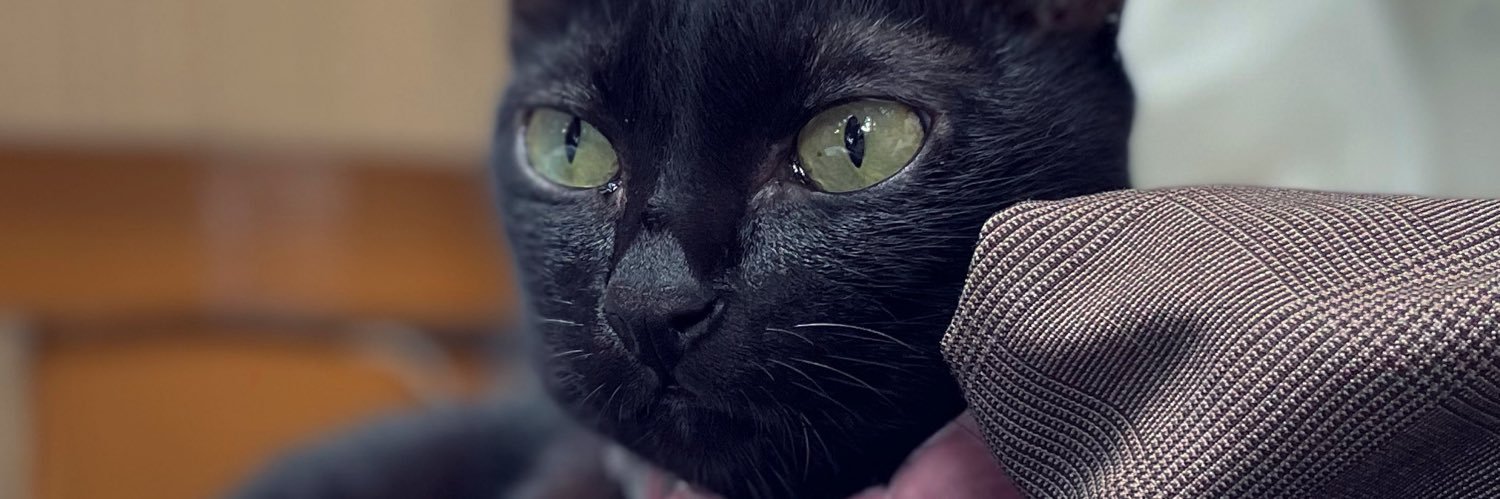 m i 🐾 banner