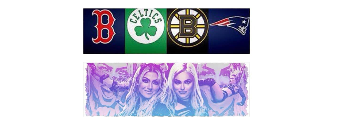 Dave J. Snyder WWE fan's banner