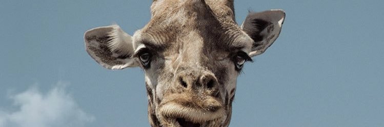 Ruben_P_'s profile banner image