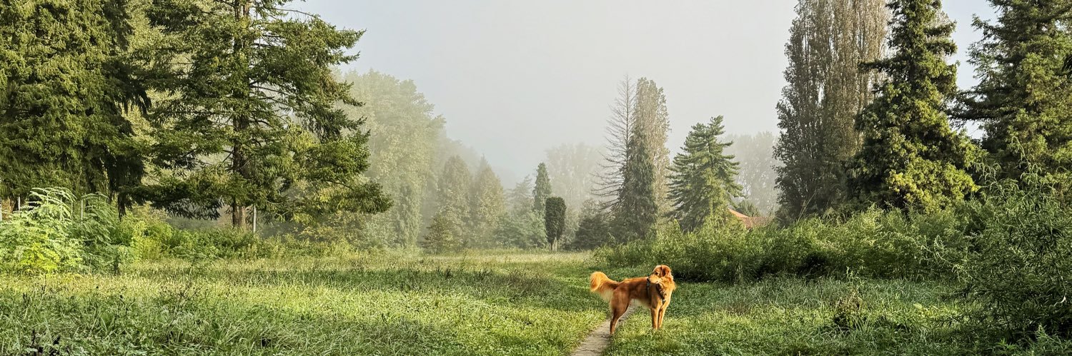 fbonadiman's profile banner image