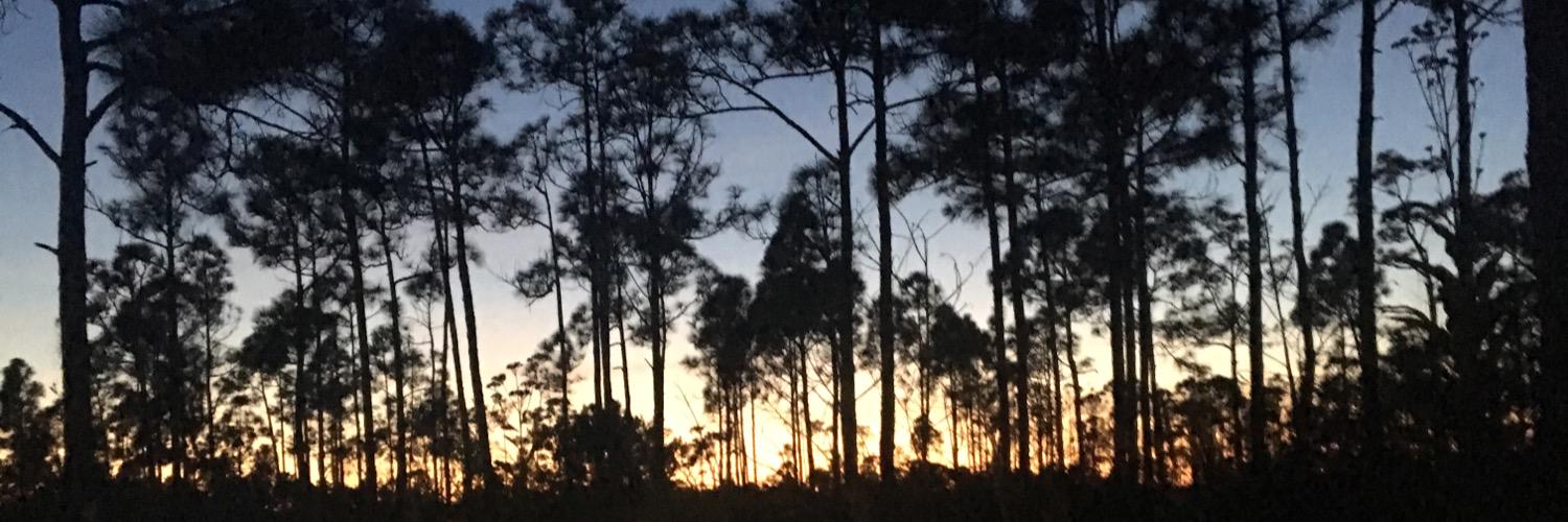 Jott782's profile banner image