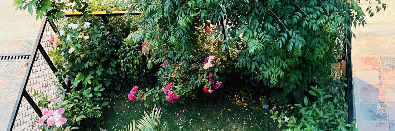 syedimranafrid's profile banner image