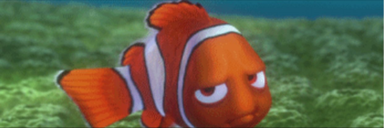 nemo banner