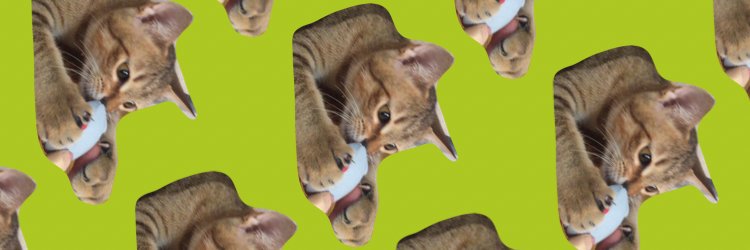bieriderdo's profile banner image
