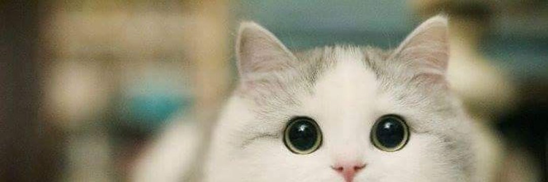 samfredy79's profile banner image
