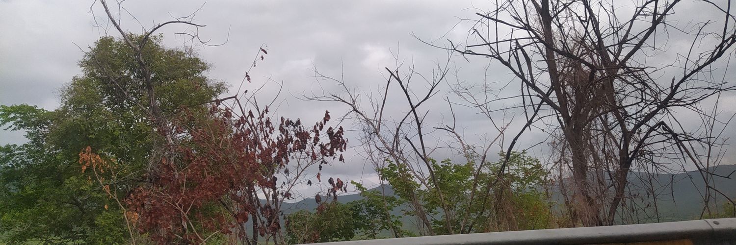 guilg7's profile banner image