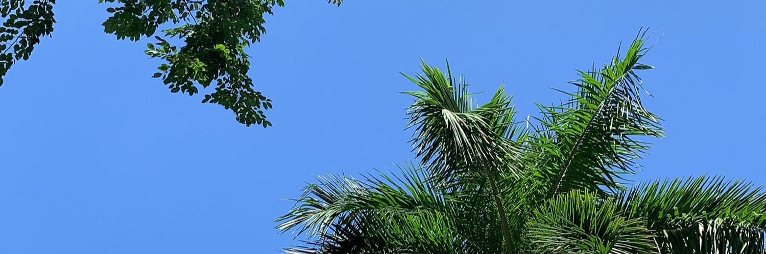 siayuu__'s profile banner image