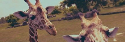 _sarinagrewal's profile banner image