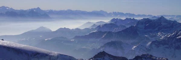 timulenbelt's profile banner image