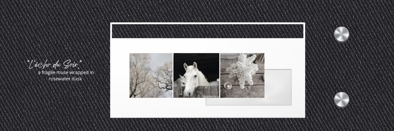 Snowefle's profile banner image