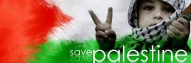 suprialghi's profile banner image