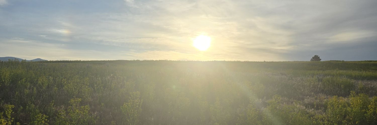 juniorwats22's profile banner image