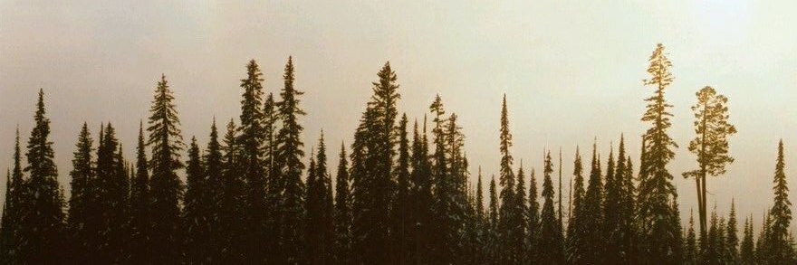 izzySanchzStarr's profile banner image