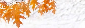 mrskinleypsc's profile banner image