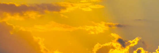 rheapayne10's profile banner image