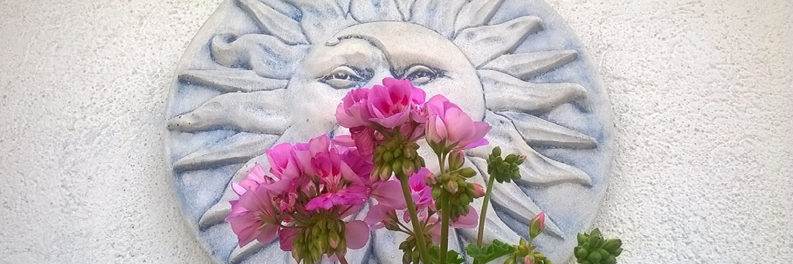 Tabarnia forever Oneness 🚀🌕 banner