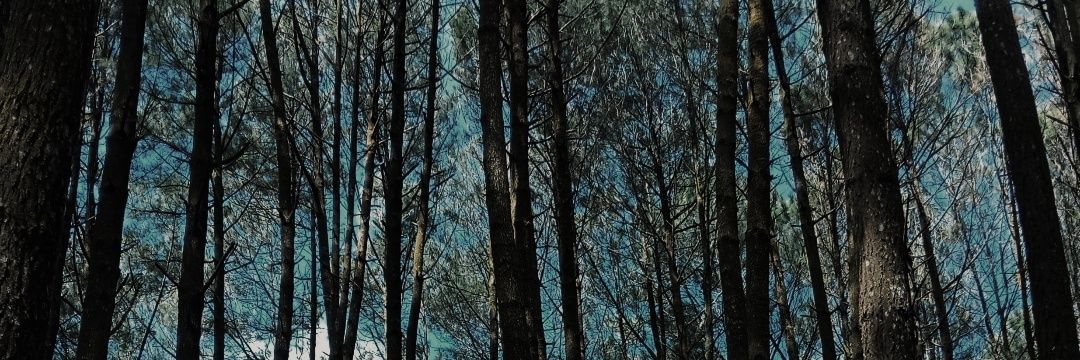 cy_graces's profile banner image