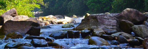 iamchathu Profile Banner