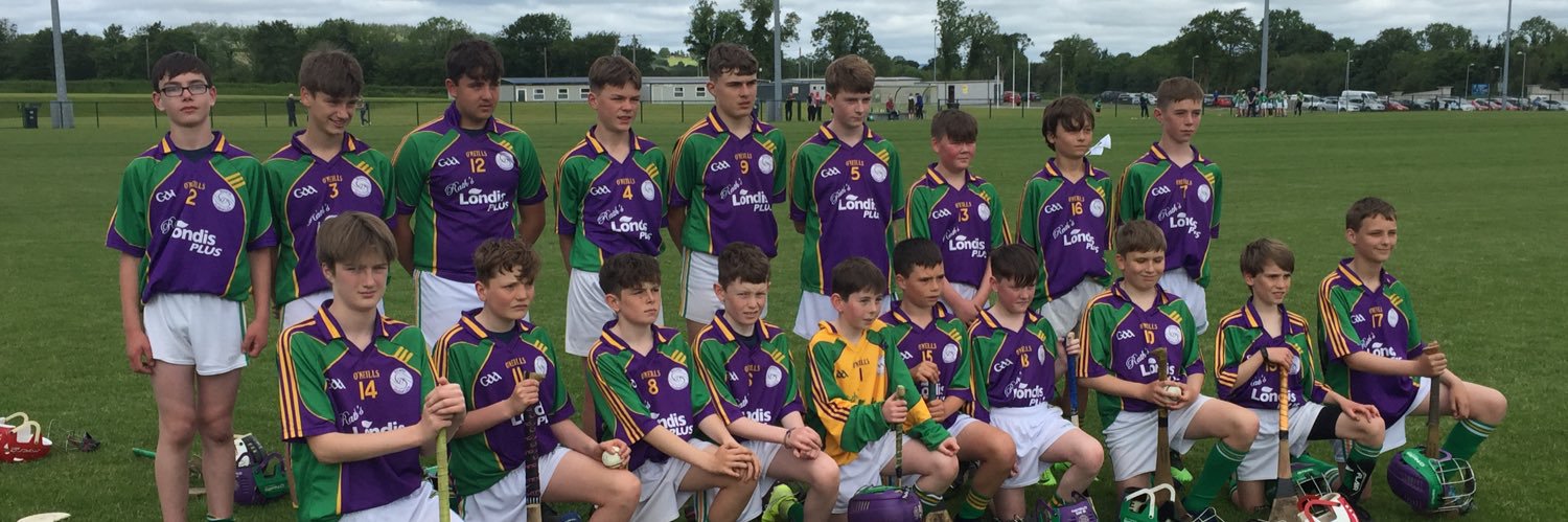 Setanta Ceatharlach Hurling/Camogie, Carlow Town banner