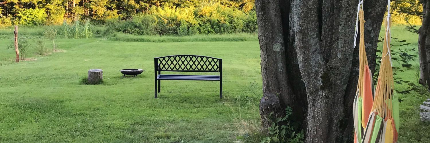 ChamberlandLin's profile banner image