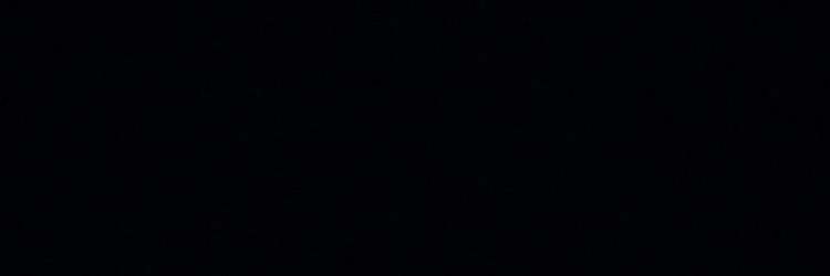 S banner
