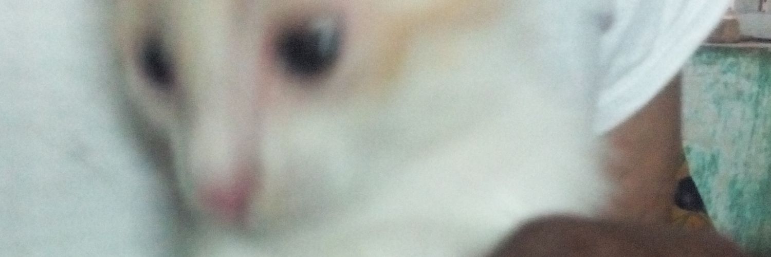 Ramkishansingh7's profile banner image