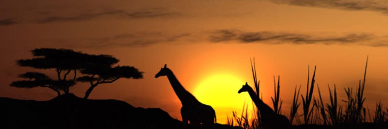 Karug84's profile banner image