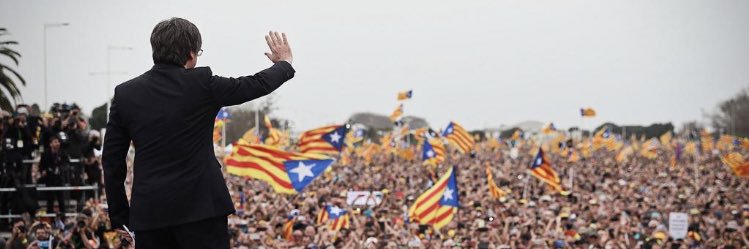 cfustepe's profile banner image