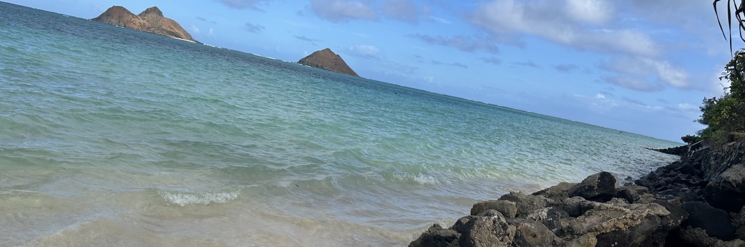 kattiee_bug13's profile banner image